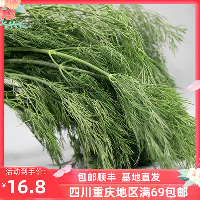 成都好特蔬莳萝草刁草时萝西餐香料Dill 顺丰包邮 250克