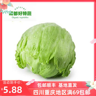 球生菜新鲜沙拉蔬菜顺丰包邮