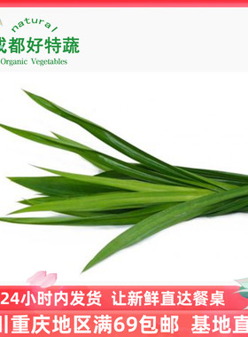 班兰叶香兰叶新鲜蔬菜西餐香料顺丰包邮Pandan leaves 250克