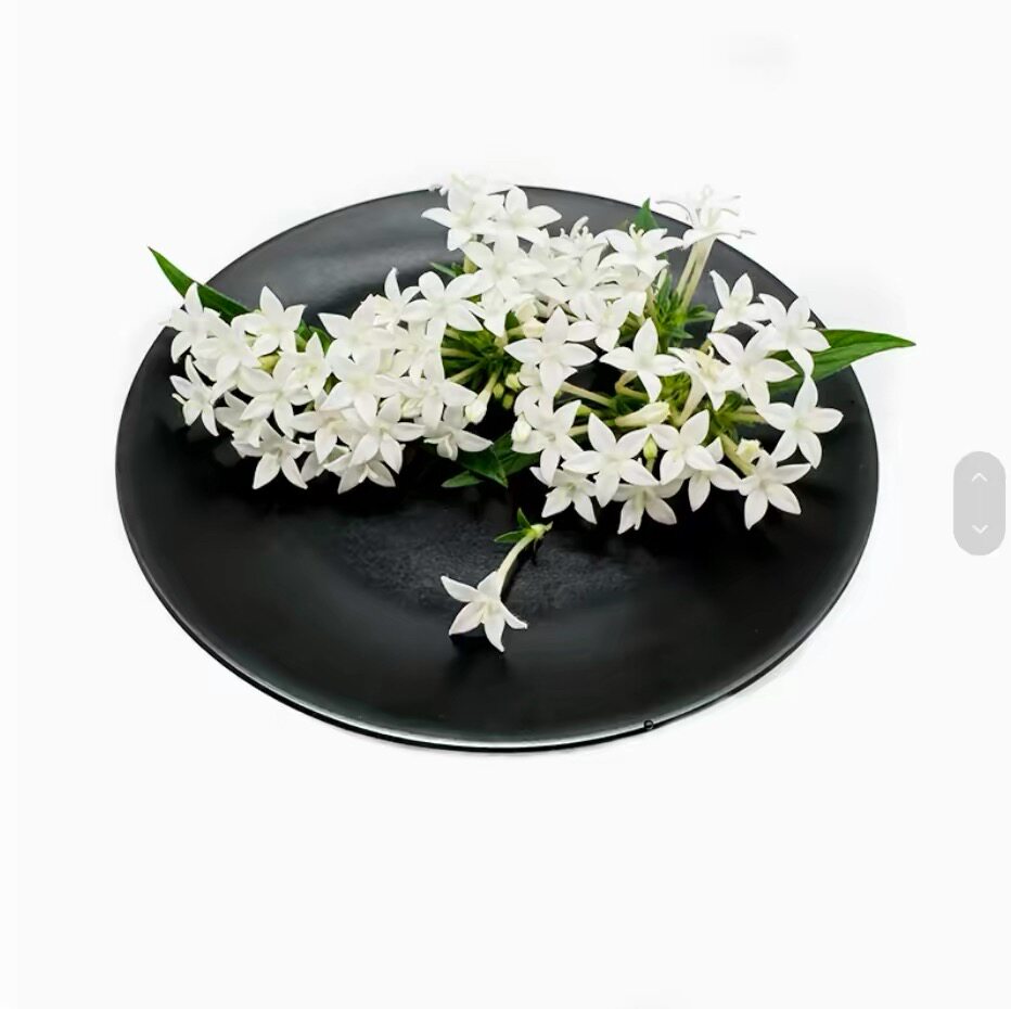 新鲜白色五星花50朵 白五星 酒店西餐冷艺摆盘装饰鲜花 小花