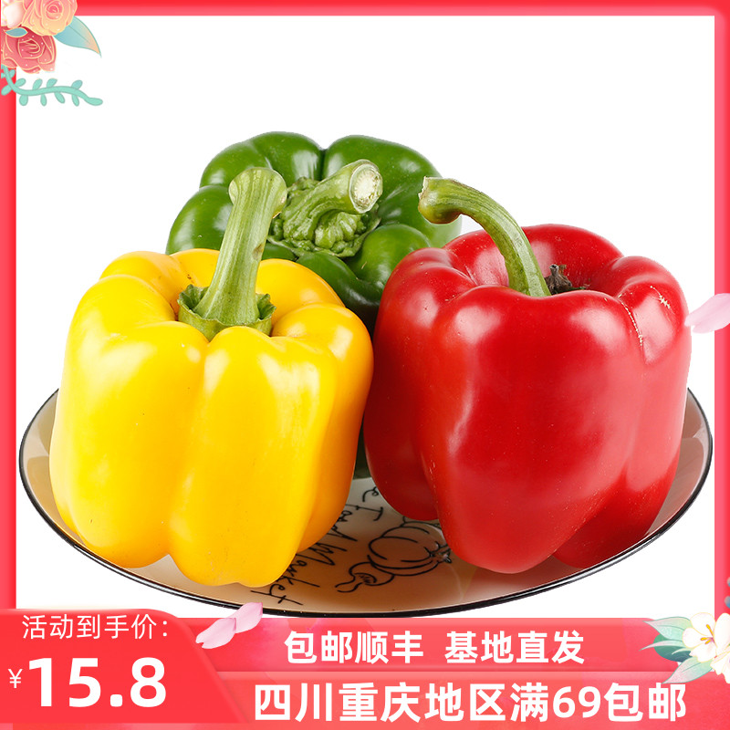 【成都好特蔬】彩椒Bell pepper 500g 红黄彩椒搭配新鲜顺丰包邮 水产肉类/新鲜蔬果/熟食 辣椒 原图主图