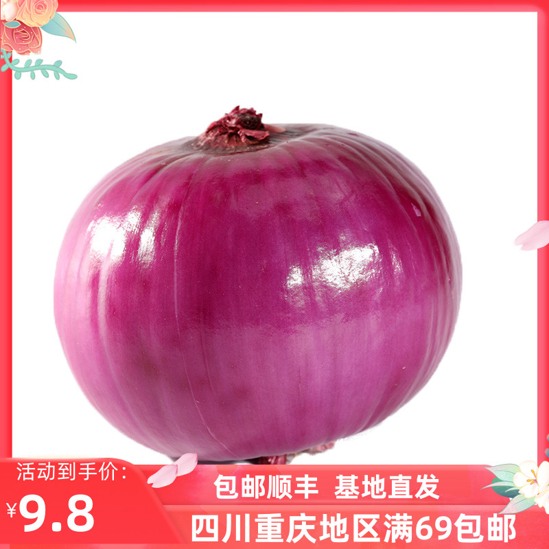 Red onion 红洋葱新鲜洋葱洋葱头紫皮圆葱蔬菜西餐烧烤2斤装