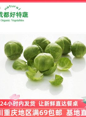 抱子甘蓝沙拉蔬菜特色食材顺丰包邮 Brussel Sprouts 500g