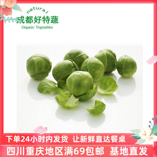抱子甘蓝沙拉蔬菜特色食材顺丰包邮 Brussel Sprouts 500g