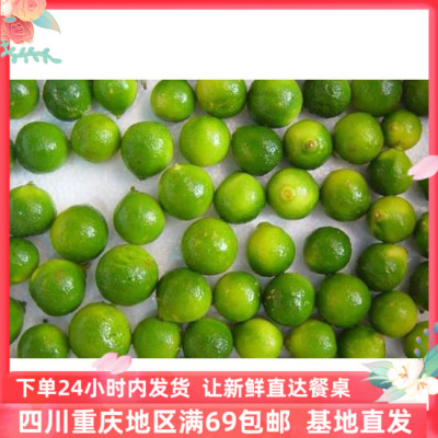 小青金桔橘柠新鲜水果金桔柠檬 green kumquat 250克小青柠檬
