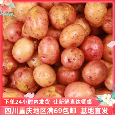 红皮新鲜蔬菜烧烤500g