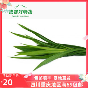 250克 班兰叶香兰叶新鲜蔬菜西餐香料顺丰 包邮 Pandan leaves