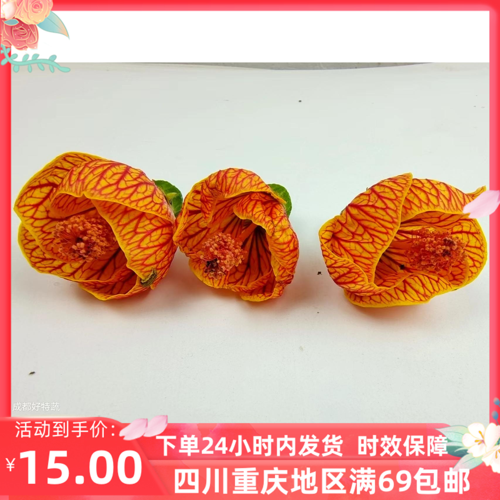 新鲜灯笼花西餐厅摆盘装饰鲜花