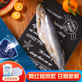 嗒莎熊网红熏鱼冷熏沙丁鱼鲱鱼俄式 工艺特色风味整条烟熏开袋即食