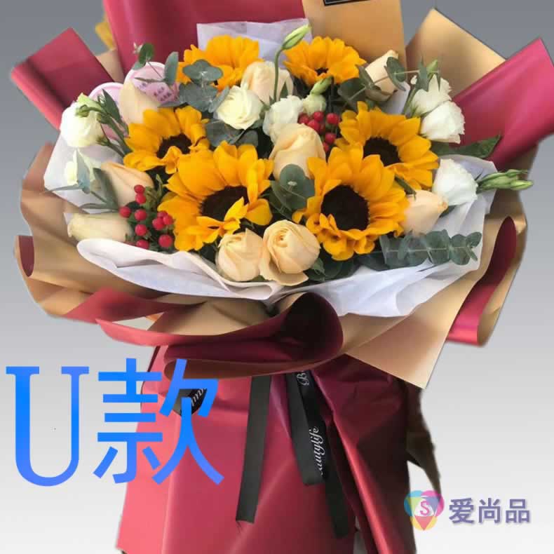 生日祝寿康乃馨湖南湘潭花店送花韶山市雨湖区岳塘区同城鲜花速递