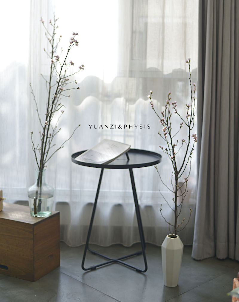 PHYSIS 日本进口樱花鲜切枝卧室客厅家居装饰瓶插水养观赏期长|ruв категории доставка цветов/цветок моделирования/растения садоводства, доставка цветов (город) - от Buy2taobao.com для оказания профессиональной услуги покупки агента Taobao