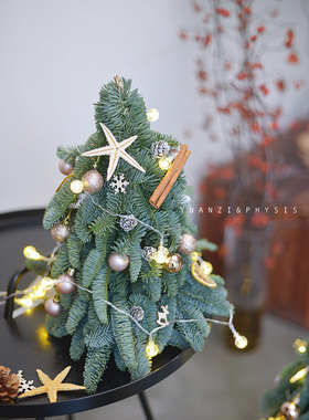 PHYSIS圣诞专场 行走的诺贝松圣诞树室内高档圣诞节日送礼ins风