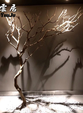 干树枝造景干枝树干许愿树枯树室内圣诞造型树枝干原木树枝装饰树