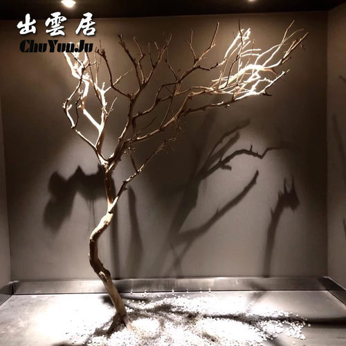干树枝造景室内庭院原木装饰
