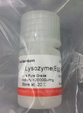 科研 溶菌酶 Lysozyme(Egg White) 12650-88-3 Amresco 0663 1g