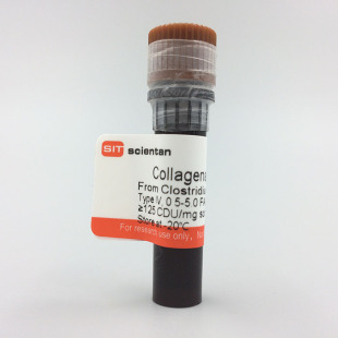 科研 胶原酶IV 9001-12-1 Invitrogen 17104-019 100MG