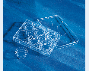 corning 3401 transwell板 12孔 直径12mm 孔径0.4um 碳酸酯膜 块