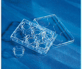 Corning 3401 Transwell板 12孔 直径12mm 孔径0.4um 碳酸酯膜 块