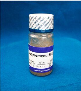 Invitrogen原装 添加剂 B27 10ML 17504 044 Gibco 科研