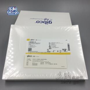 GIBCO DMEM F12 12无碳酸氢钠 干粉培养基DMEM 024 12400