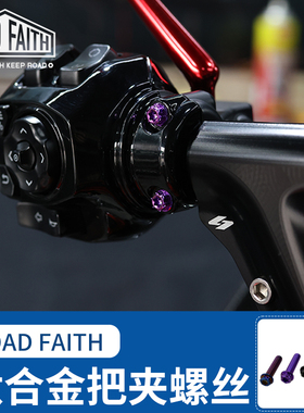 ROADFAITH适用哈雷公路滑翔121路威ST街霸通用钛合金彩色把夹螺丝