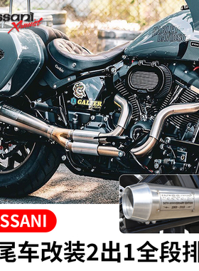 巴萨尼周年纪念款bassani哈雷路威ST街霸肥霸改装不锈钢全段排气