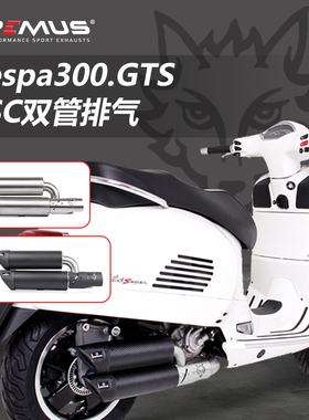 现货REMUS Vespa300.GTS改装排气管双管碳纤维欧四标准全段黑色