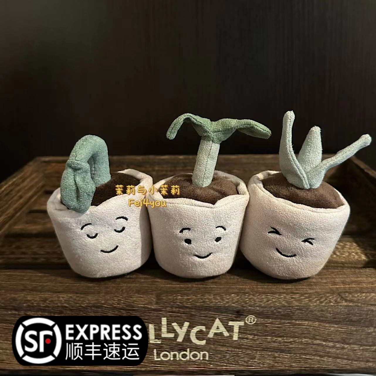 英国jELLYCAT Silly Seedling迷你植物嫩芽幼苗毛绒玩具安抚公仔-封面