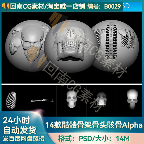 ZBrush素材14款骷髅骨架骨头骸骨Alpha笔刷ZB建模雕刻PSD纹理贴图