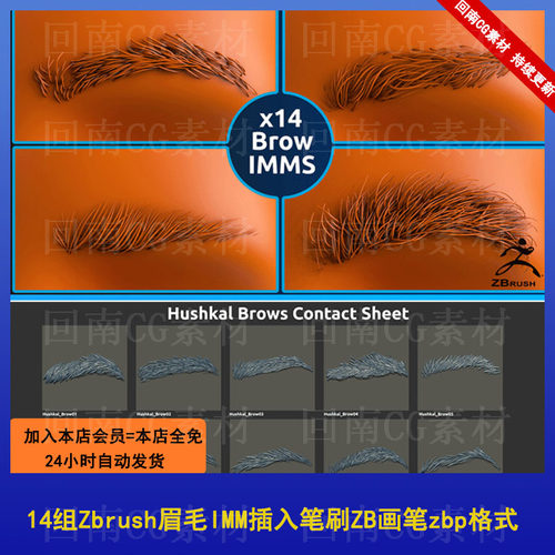 14组Zbrush眉毛IMM插入笔刷ZB画笔zbp格式 人物细节建模雕刻素材