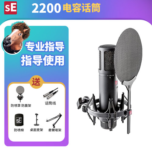 se美国大振膜调音师电容麦克风
