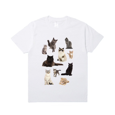 billkong猫咪的团宠夏季简约纯棉