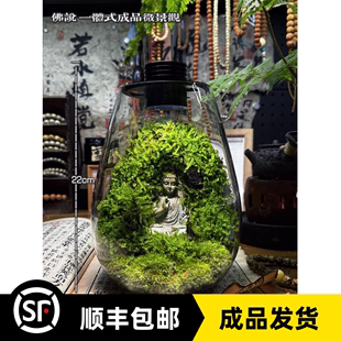 包邮 如来佛祖植物生态瓶充电LED灯成品顺丰 佛说成品苔藓微景观