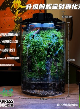 Bioloark成品雨林缸全自动定时喷淋内循环流水苔藓微景观顺丰包邮