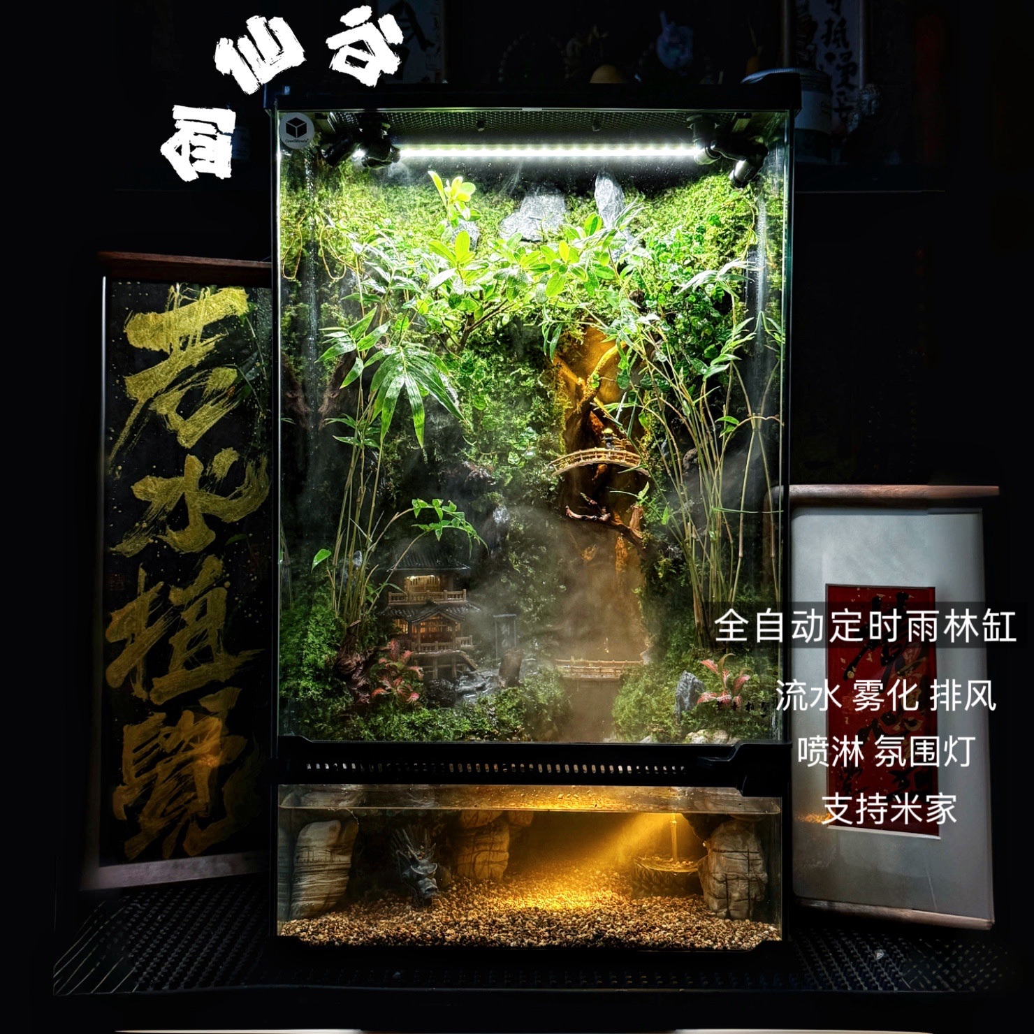 剑仙谷全自动成品苔藓植物雨林缸仙侠生态景观桌面植物顺丰包邮