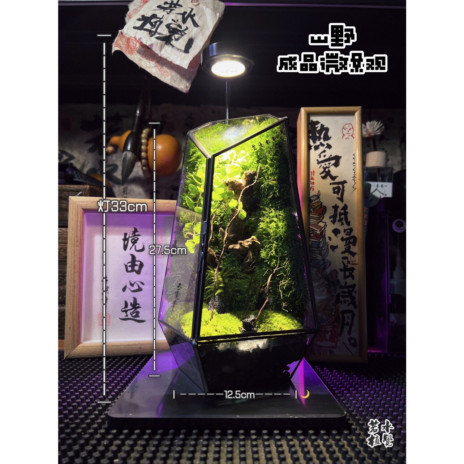 山野 一体式成品苔藓微景观 好养绿植掌上雨林景观生态瓶顺丰包邮