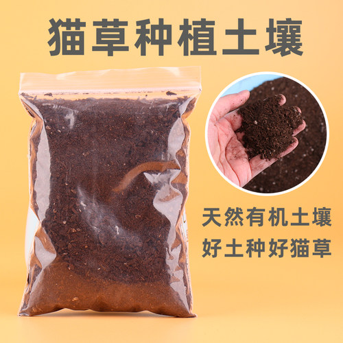 猫草营养土猫草种子专用种植土