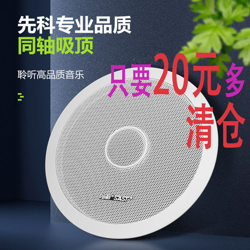 先科吸顶喇叭高保真同轴重低音