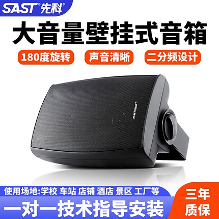 SAST/先科 会议室音响店铺壁挂定压超市酒吧台球厅挂墙专用重低音