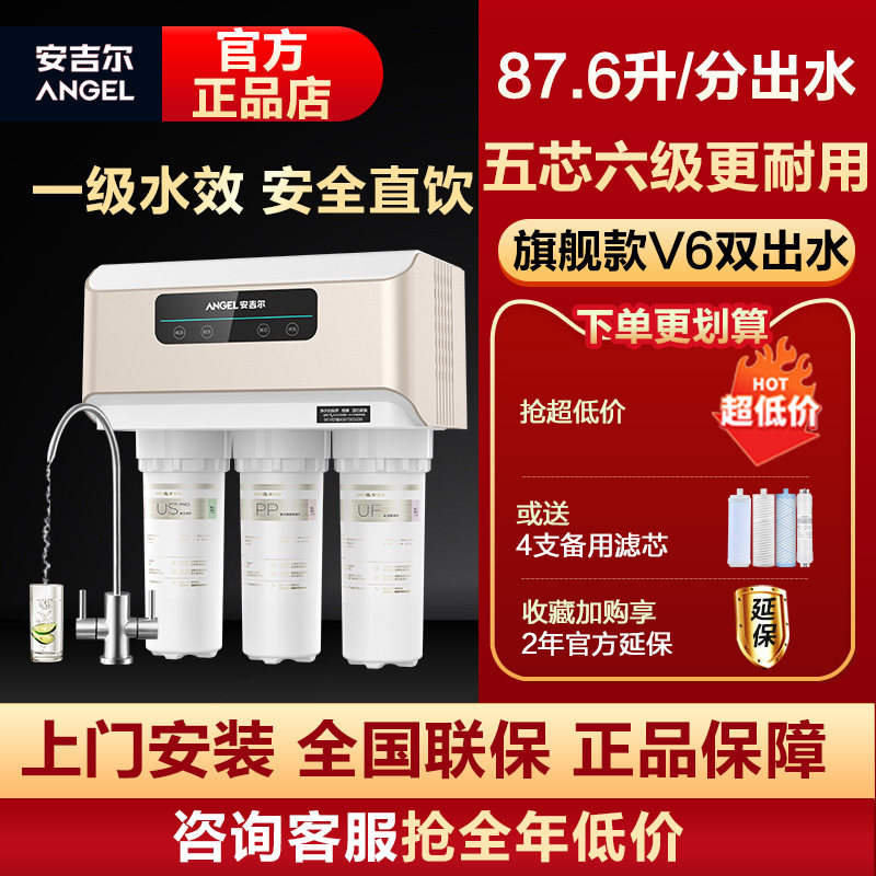 安吉尔净水器滤芯家用直饮净水机纯水机反渗透智能500G无罐V6除菌