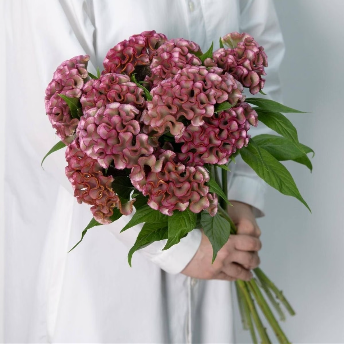 情人节鲜花同城配送女友鲜花礼物