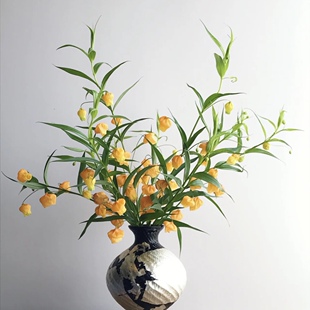 宫灯百合小众稀有精品花材家庭瓶插花艺婚庆节日比赛装饰花束鲜花