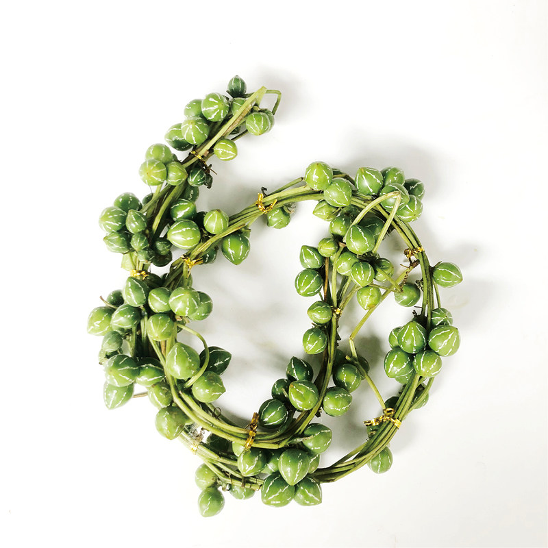 小西瓜稀有小众应季花材趣味国风