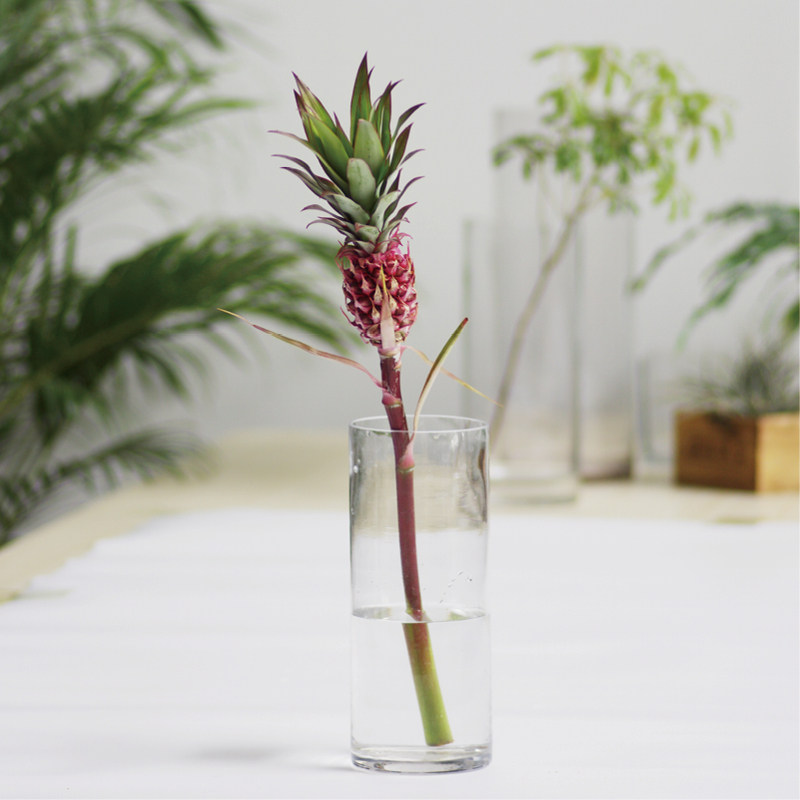 进口粉菠萝鲜切花高端小众稀有装饰花材家庭瓶插花艺婚庆手捧花束,鲜花速递/花卉仿真/绿植园艺,花材,淘宝优惠券,粉丝福利购,淘宝优惠卷