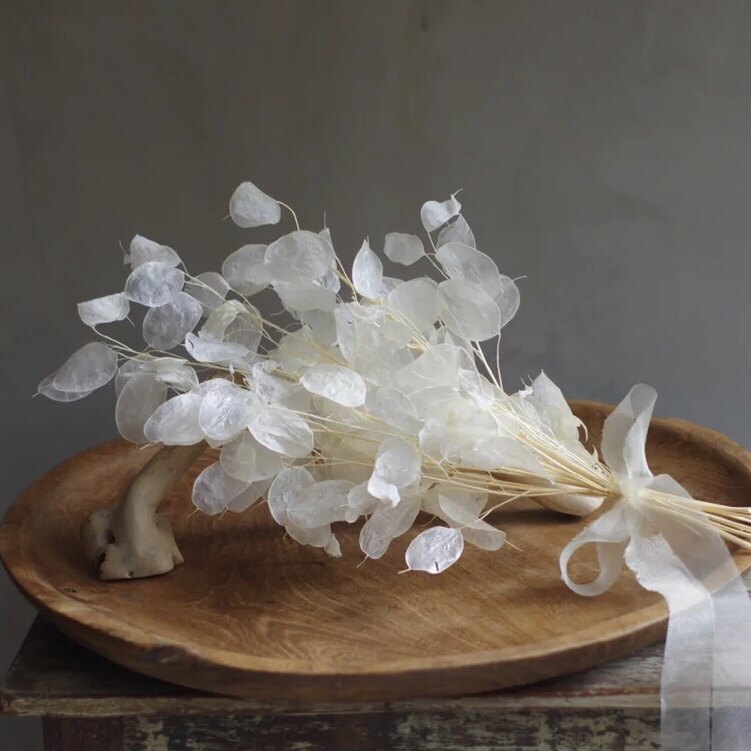 银扇永生花干花小众稀有精品花材大型花艺现场高端婚庆花束比赛用