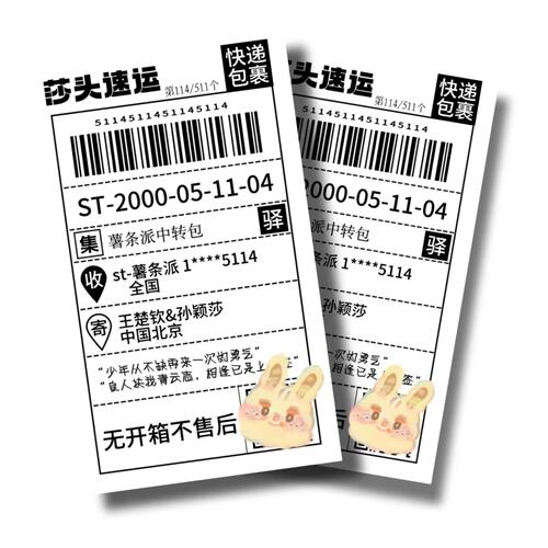 莎头速运同人自制王楚钦孙颖莎d