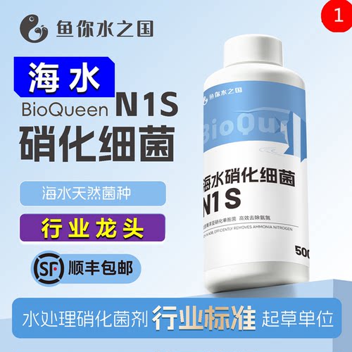 海水硝化细菌N1S高效去氨氮天然菌种鱼你水之国亚硝酸盐去除菌