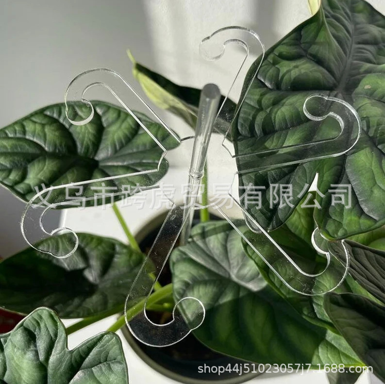 龟背竹支撑杆水培植物固定器神器枝干收拢架防倒伏支架绿植花支架