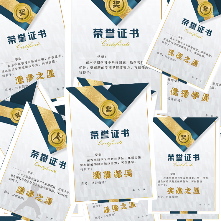 体育运动艺校散打跆拳道武术证书