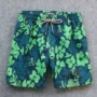 Green Rùa V thương hiệu đồ bơi nam in hình rùa khô nhanh quần bơi bãi biển quần suối nước nóng quần short xu hướng năm điểm - Quần bãi biển 	quần đi biển cho bé trai